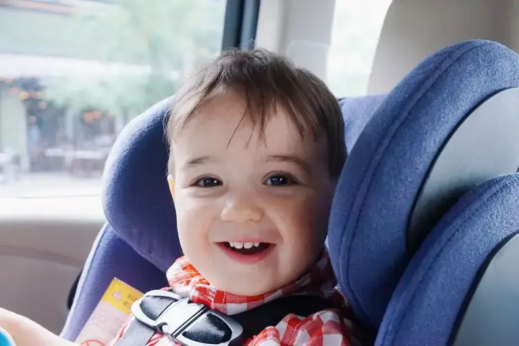 How To Clean Car Seat Straps Vomit The, The Ultimate Car Seat Guide