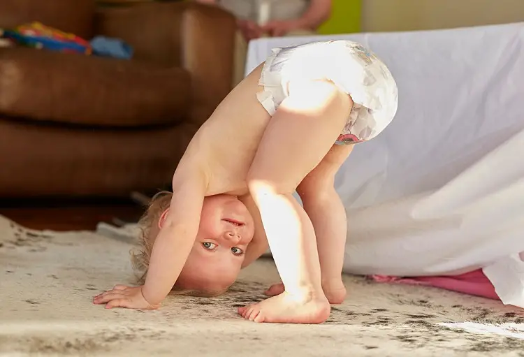 poop stain on carpet