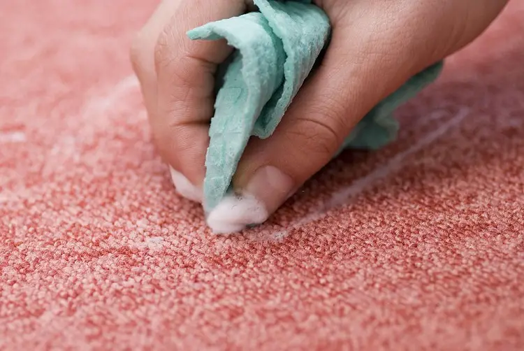 How to Get Ammonia Smell Out Of Carpet