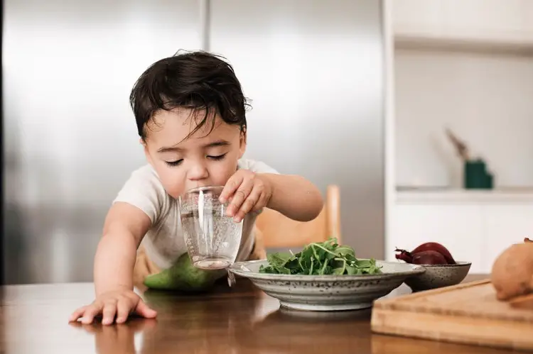 When Can Babies Drink Distilled Water
