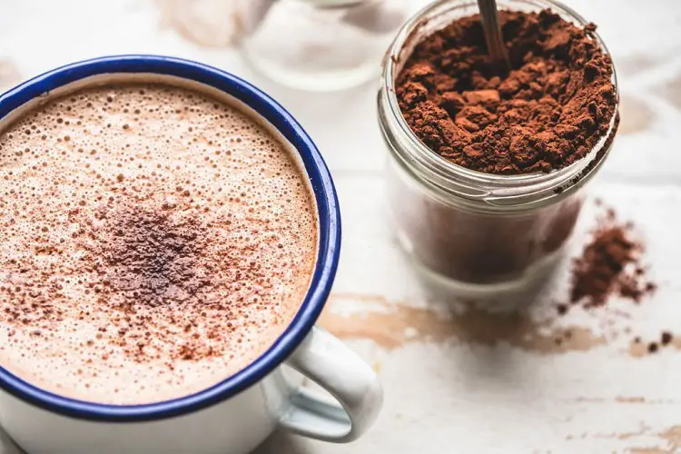 Best Cocoa Powder for Hot Chocolate