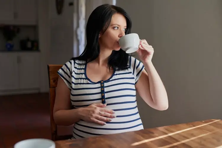 Can I Drink Red Label Tea During Pregnancy Explained