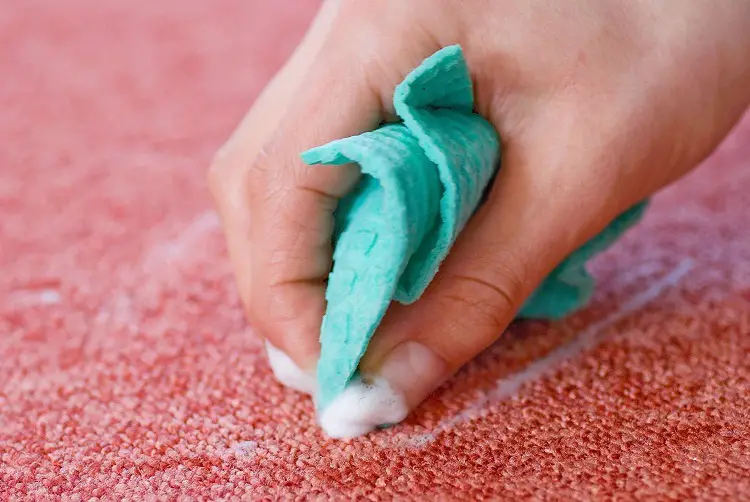 How To Clean Diarrhea Out of Carpet (8 Easy Steps)