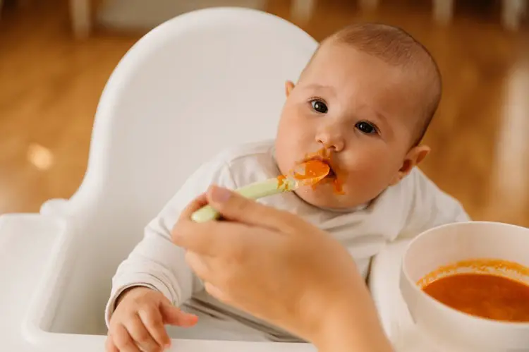how to make carrot puree for baby