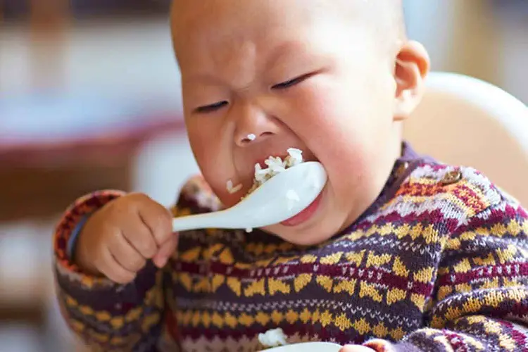 toddler likes to eat rice